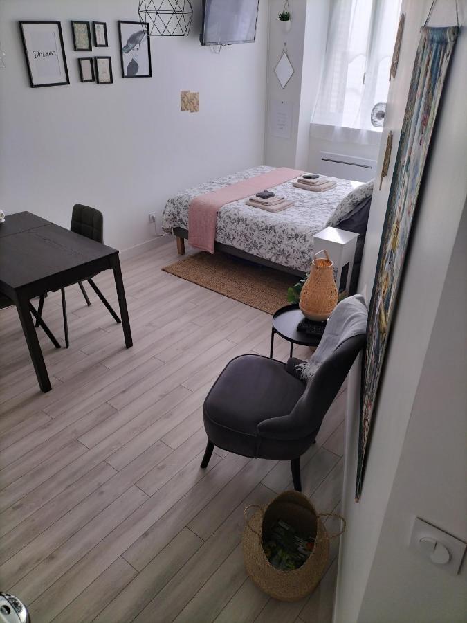 Orleans Hypercentre Articles Fitness Et Bebe Appartement Buitenkant foto